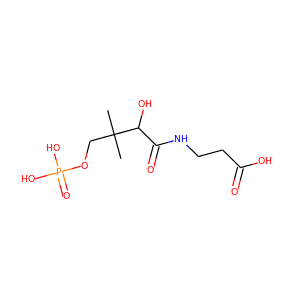 4'-phosphopantothenic acid